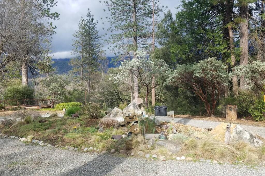 Uncle Grizz'S Cabin...Get Intouch With Nature Bass Lake Annex Exterior foto