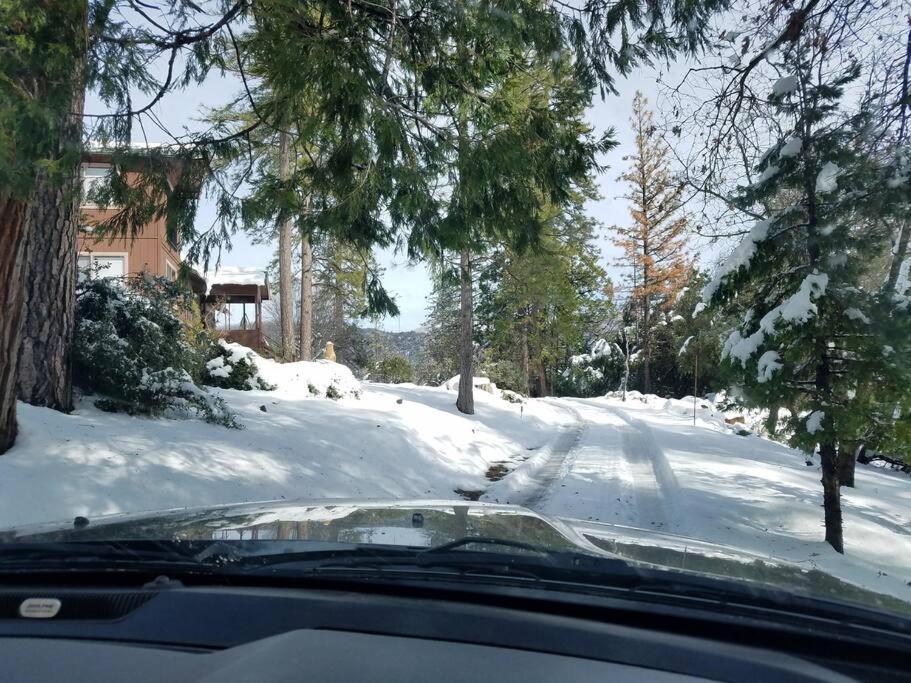 Uncle Grizz'S Cabin...Get Intouch With Nature Bass Lake Annex Exterior foto